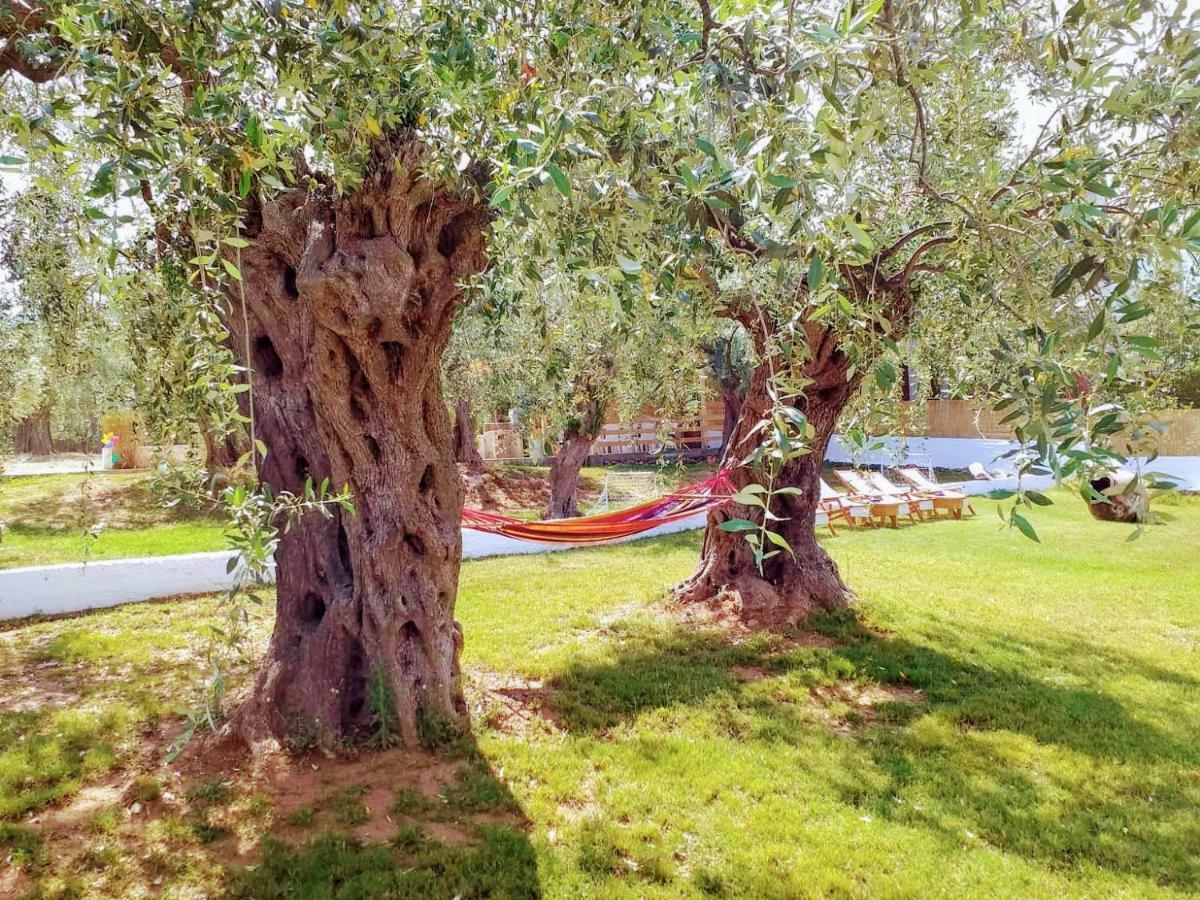 Villa Vista Al Mar Σκάλα Καλλιράχης Εξωτερικό φωτογραφία